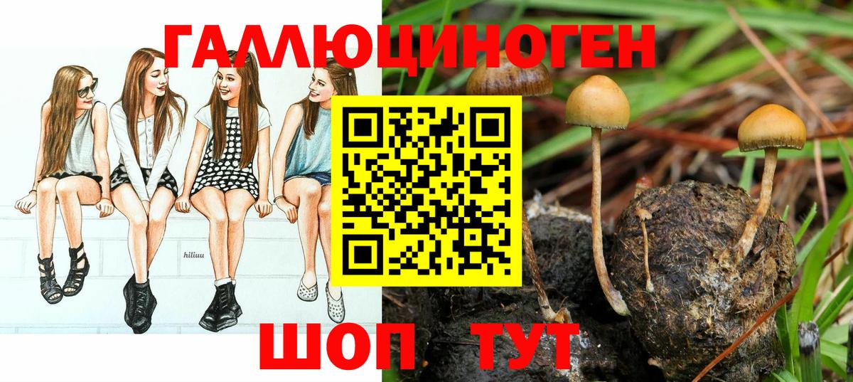 Псилоцибиновые грибы GOLDEN TEACHER  Галлюциногенные грибы MAGIC MUSHROOMS  Красноармейск  Вход с VPN 